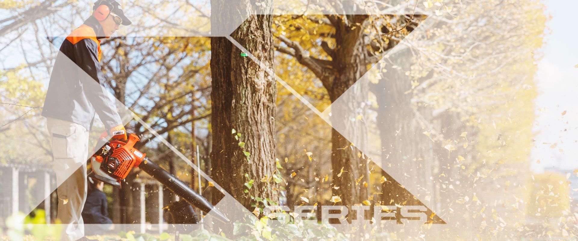 Повітродуви X Series